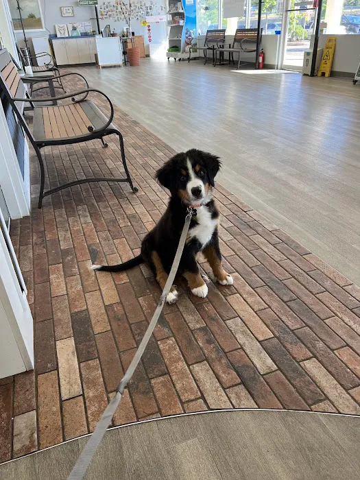 Shore Haven Veterinary Hospital Picture 8