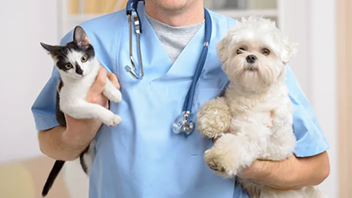 Shore Haven Veterinary Hospital Picture 2