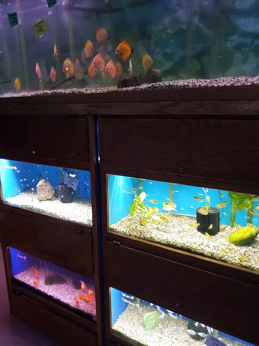 About Fish Inc Picture 3