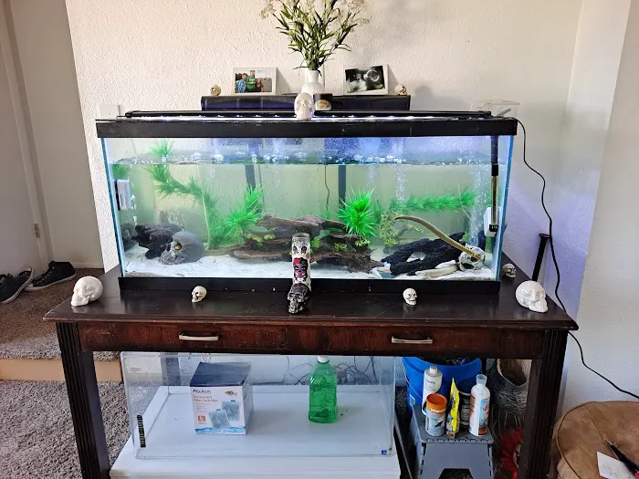 About Fish Inc Picture 10