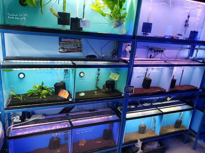 About Fish Inc Picture 8