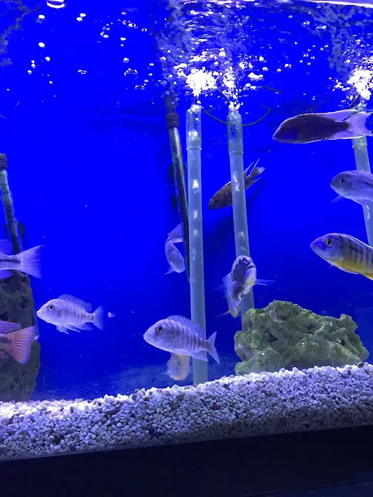 About Fish Inc Picture 9