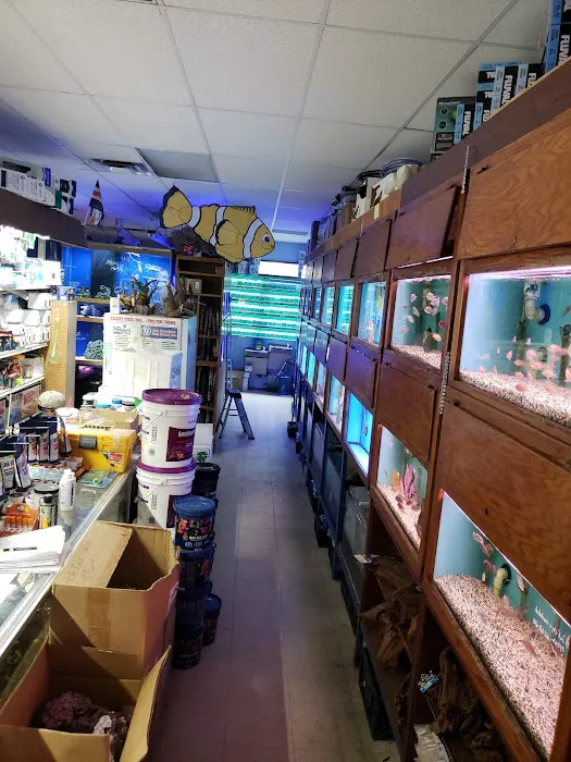 About Fish Inc Picture 6