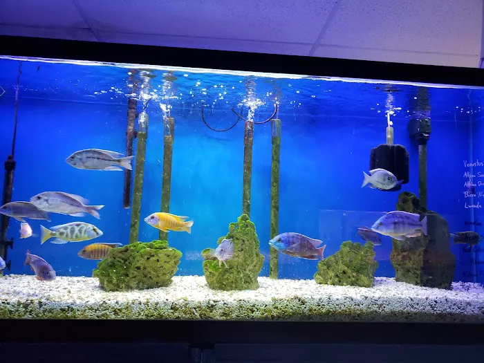 About Fish Inc Picture 4