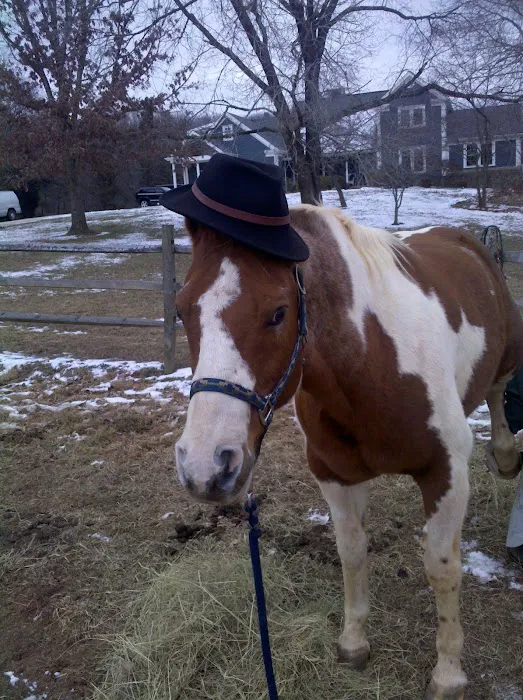 Warrenton Horse Works PLC Picture 6