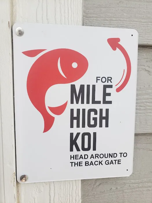 Mile High Koi Picture 3
