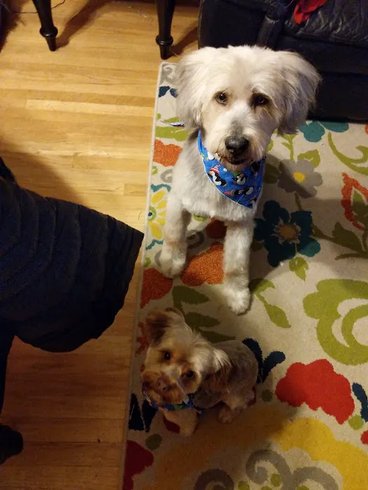 Petco Picture 10