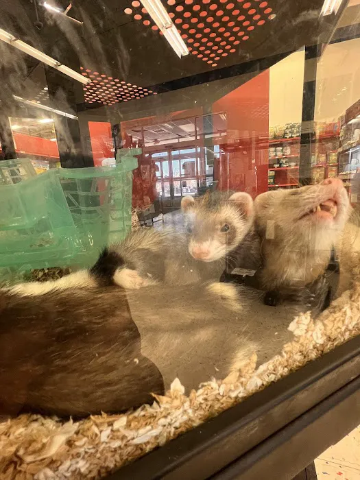 Petco Picture 7