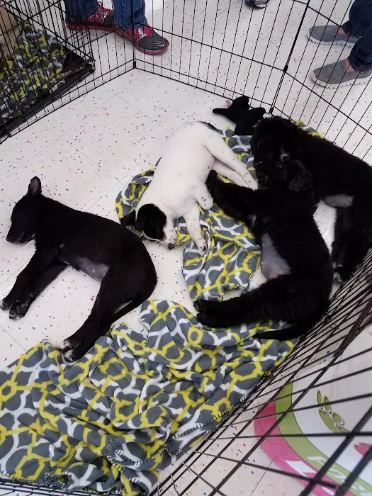 Petco Picture 1