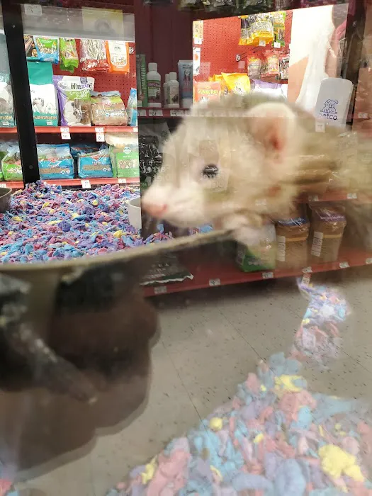 Petco Picture 9
