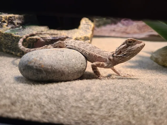Petco Picture 5