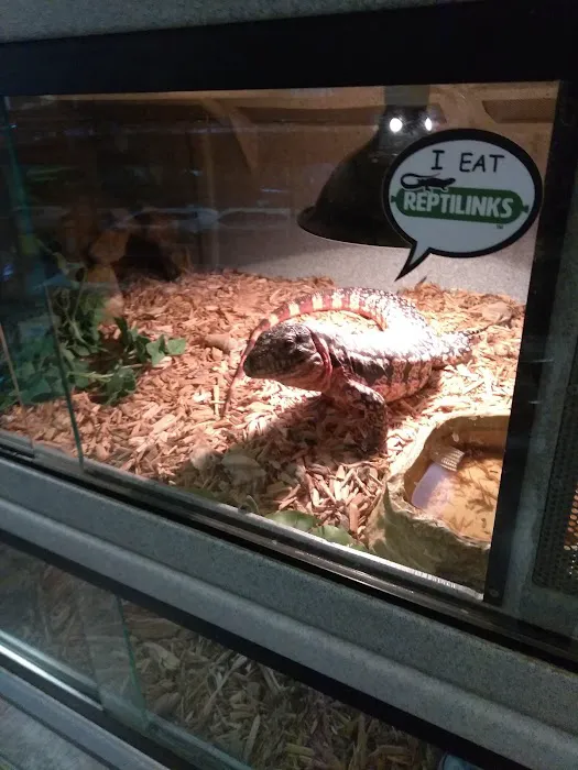 Feeder Frenzy Reptiles Picture 1