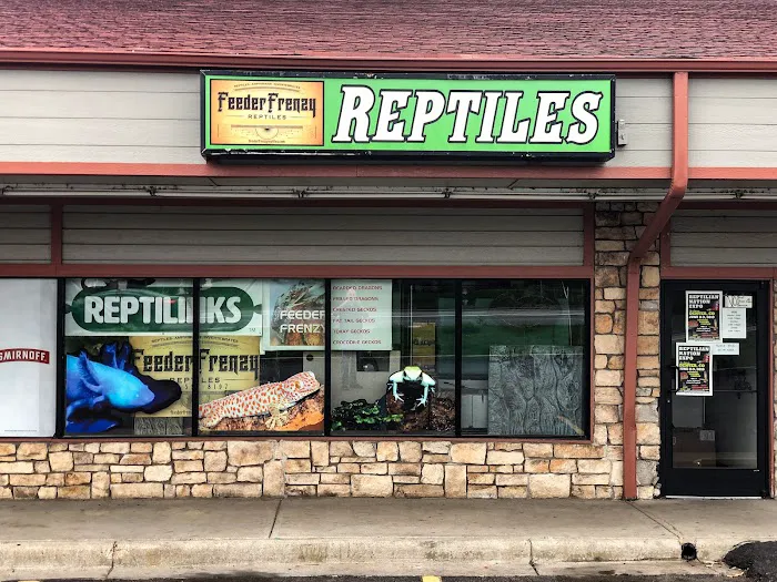 Feeder Frenzy Reptiles Picture 6