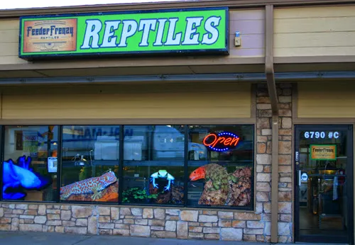 Feeder Frenzy Reptiles Picture 2