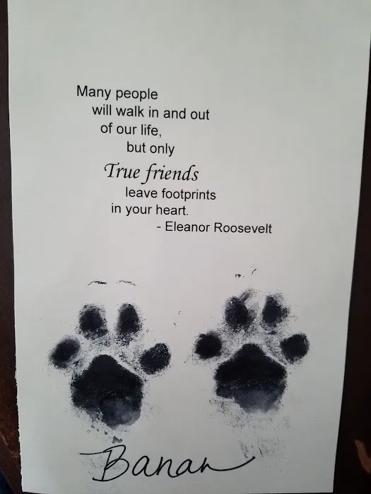 Culpeper Animal Hospital: Kellum Andrea DVM Picture 3