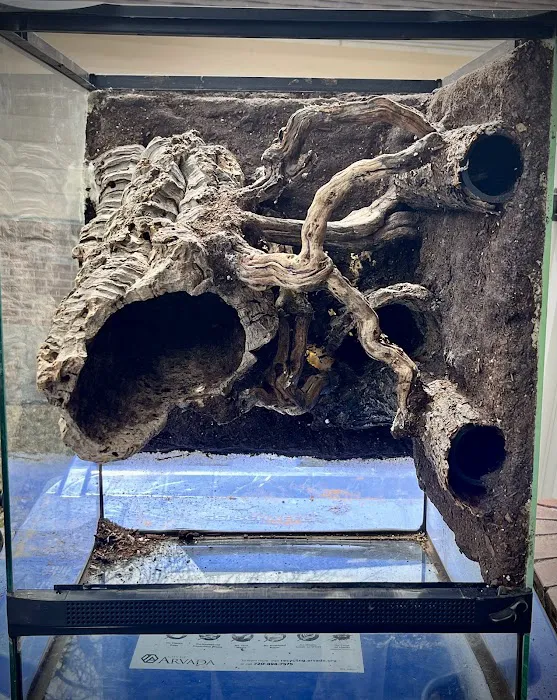 Terrarium Station Picture 1
