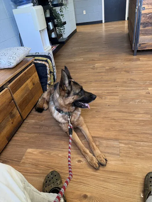 Culpeper Animal Hospital Picture 3