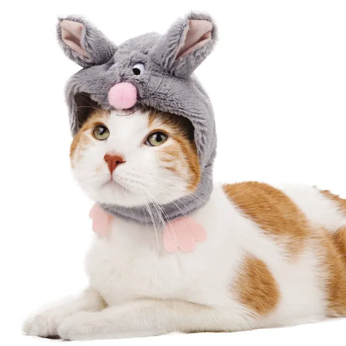 Pets N' Stuff Picture 7