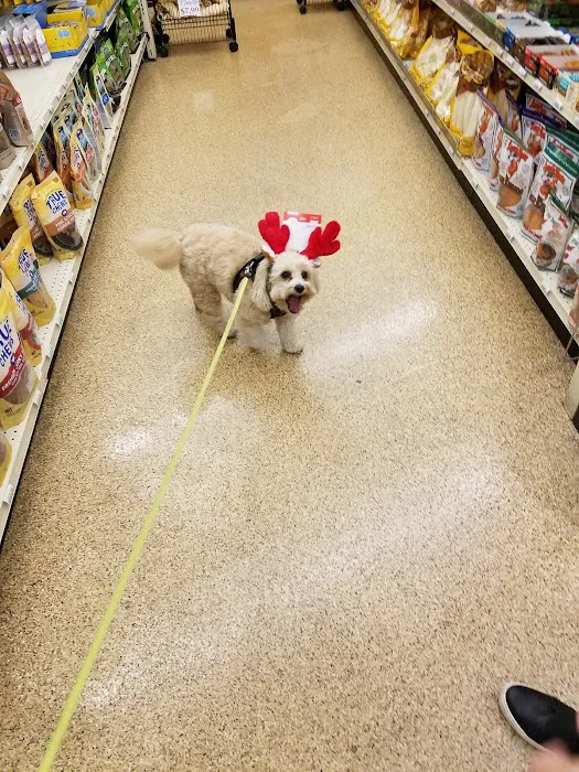 Pets N' Stuff Picture 8
