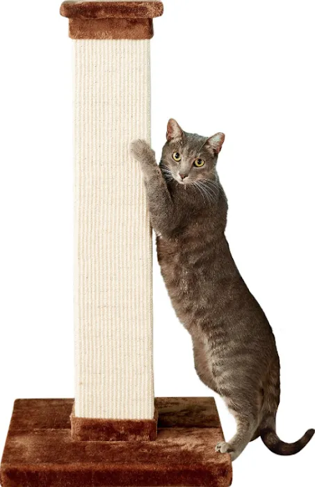 Pets N' Stuff Picture 10