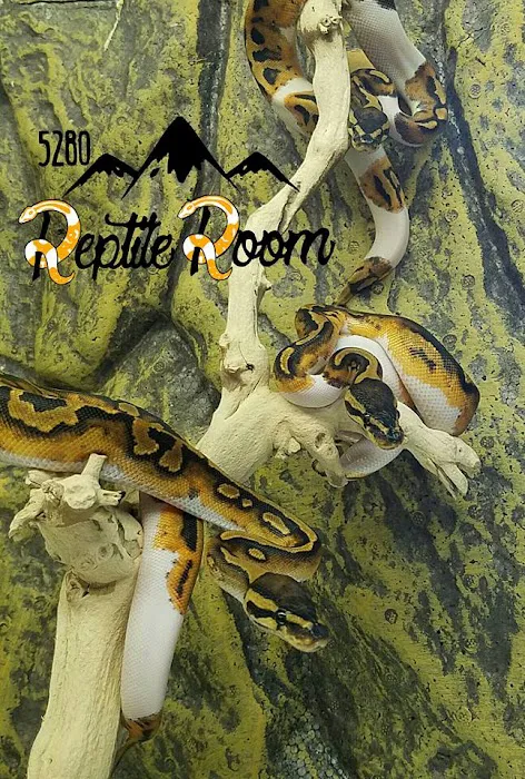 5280 Reptile Room - West Picture 9
