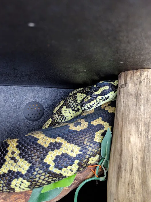 5280 Reptile Room - West Picture 10