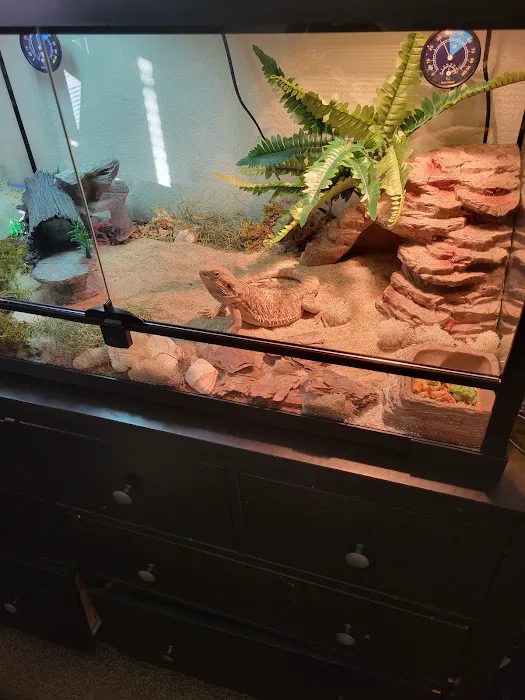 5280 Reptile Room - West Picture 4