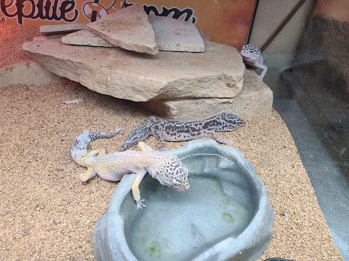5280 Reptile Room - West Picture 8