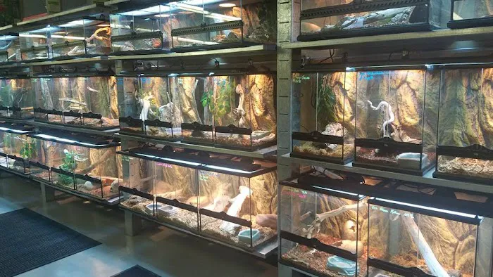5280 Reptile Room - West Picture 6