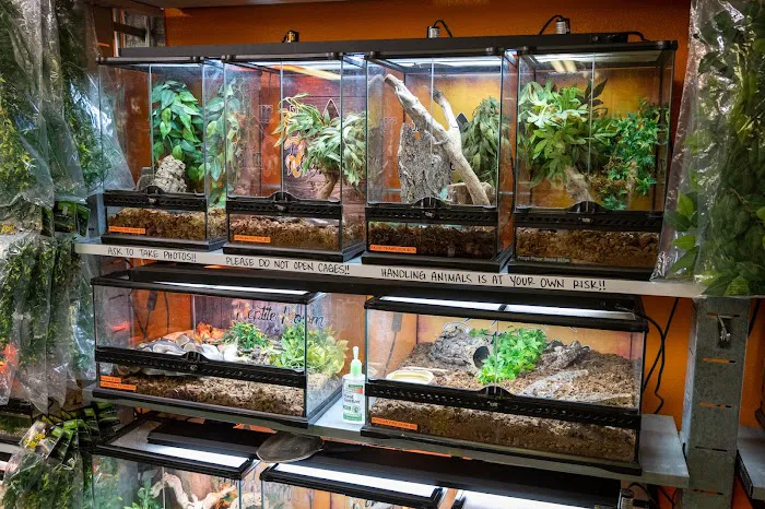 5280 Reptile Room - West Picture 3