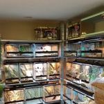 5280 Reptile Room - West