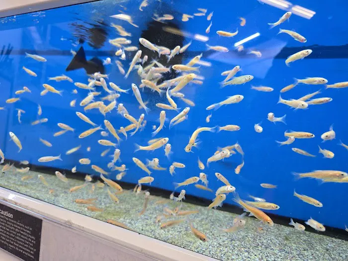Petco Picture 9