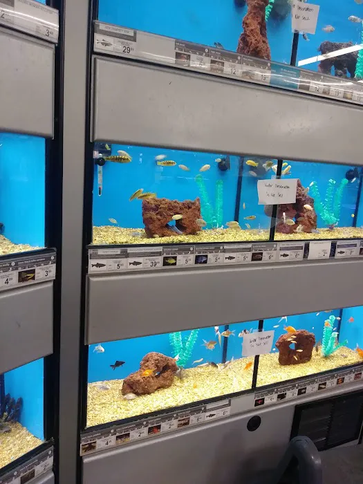 Petco Picture 6