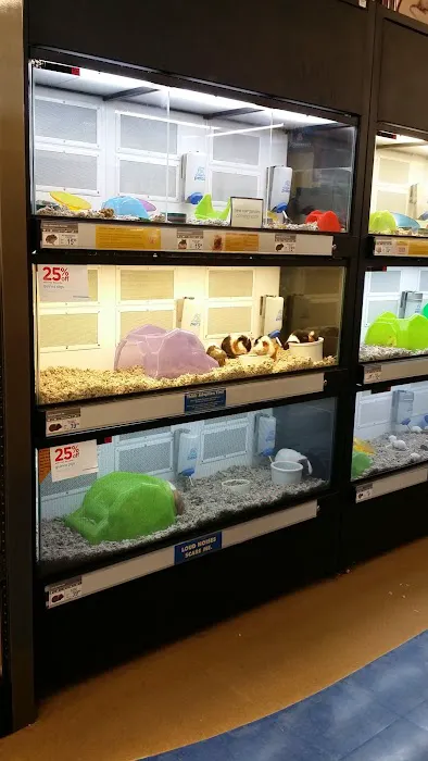 Petco Picture 3