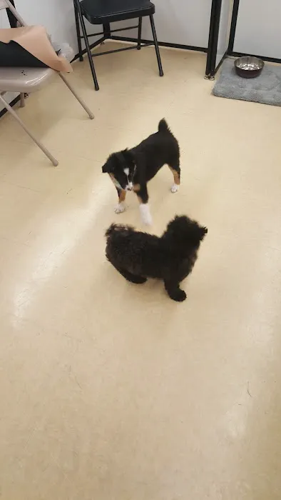 Petco Picture 10