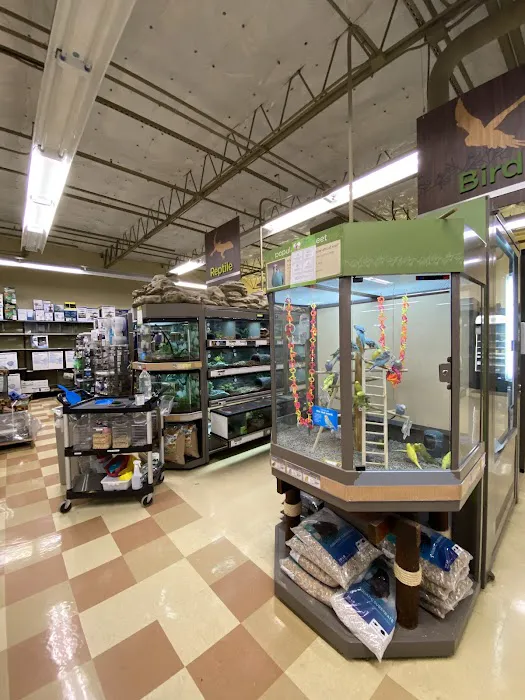 Petco Picture 7