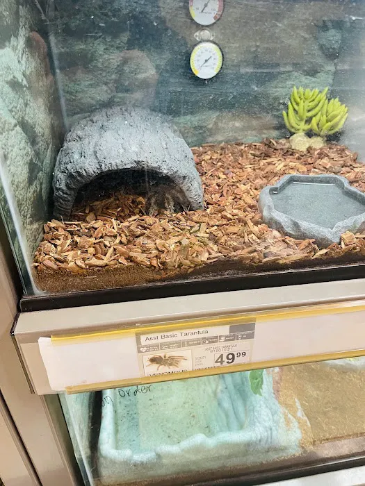 Petco Picture 6