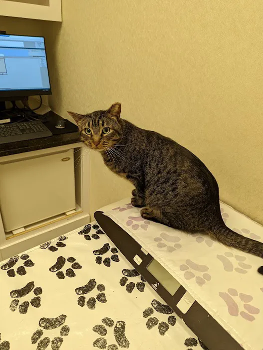 Pender Veterinary Centre - Manassas Picture 1