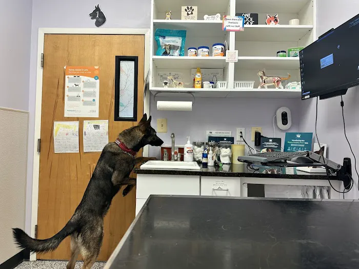 Pender Veterinary Centre - Manassas Picture 8