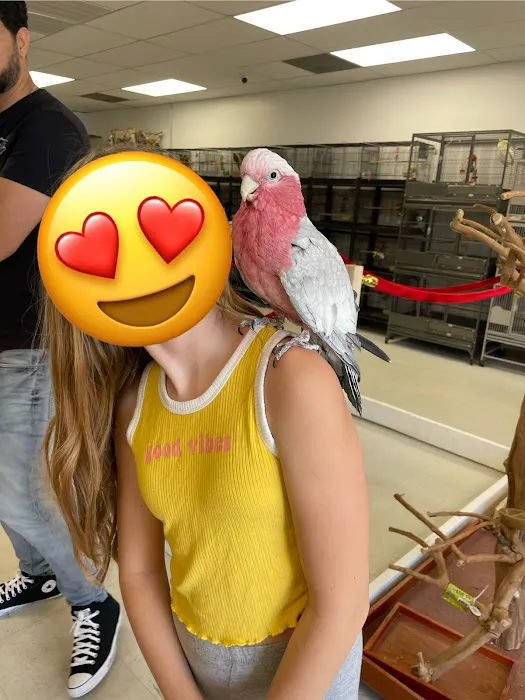 Exotic Bird Ranch II Picture 1