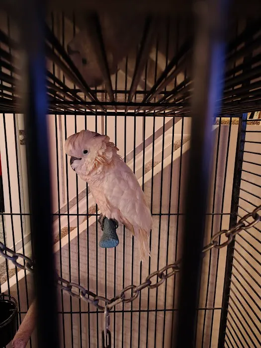 Exotic Bird Ranch II Picture 2