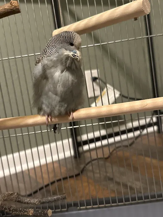 Exotic Bird Ranch II Picture 8