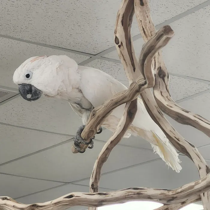 Exotic Bird Ranch II Picture 7