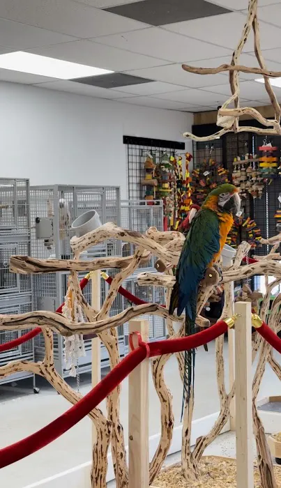 Exotic Bird Ranch II Picture 5