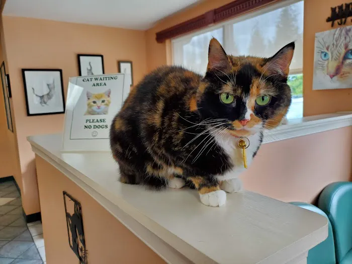 Seven Bends Veterinary Hospital Picture 8