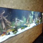 G-Force Concepts LLC