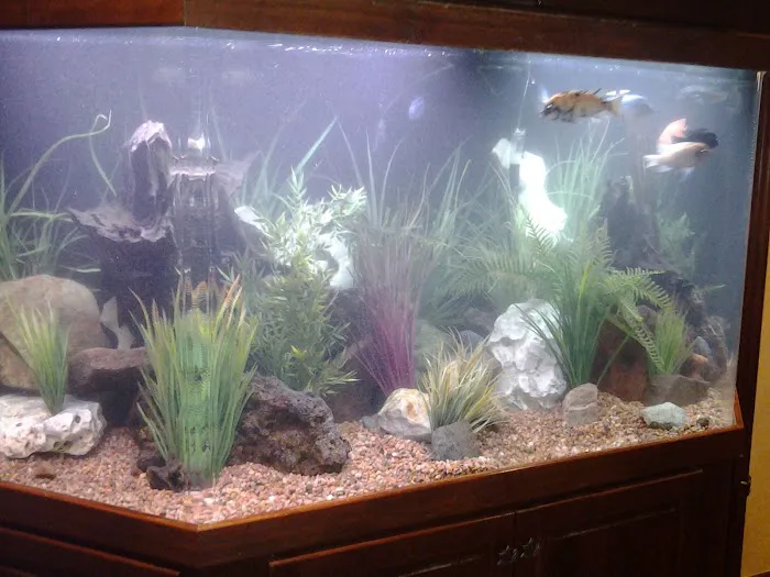 G-Force Concepts LLC Picture 4