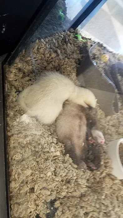 Petco Picture 3