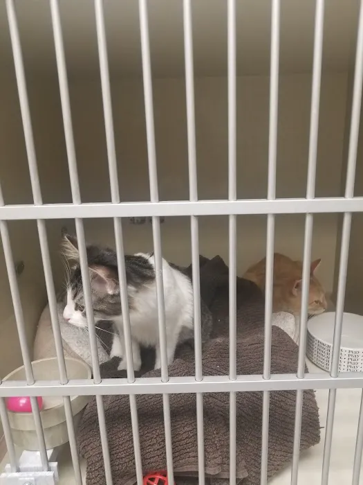 Petco Picture 4