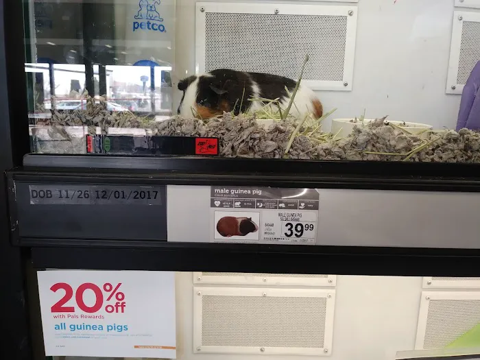 Petco Picture 9